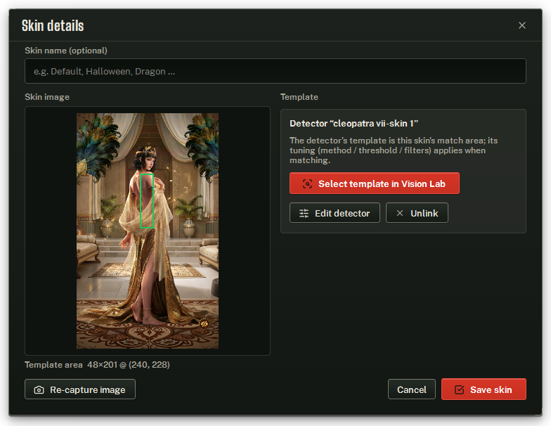 Skin details: the skin picture with its template marked as a green box, and the template controls.