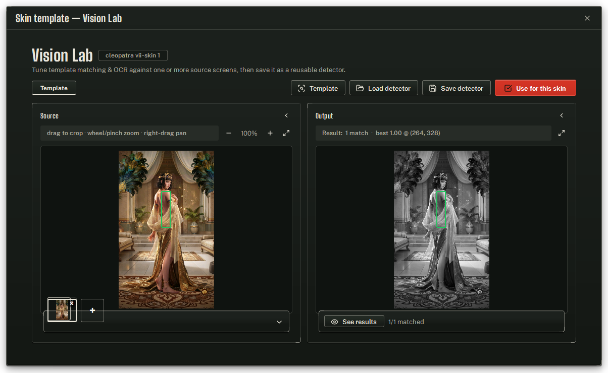The Vision Lab opened from a skin: the loaded sources, the crop-and-match tool, and the Use for this skin button.
